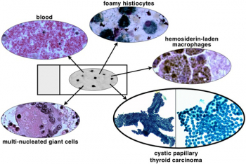 CTN Figure3