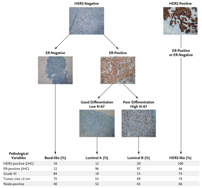 TNBC Figure1