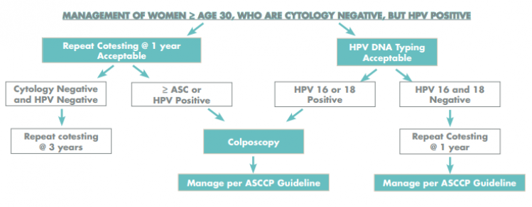Ask The Pathologist Negative Pap But Positive Hpv Incyte Diagnostics 9618